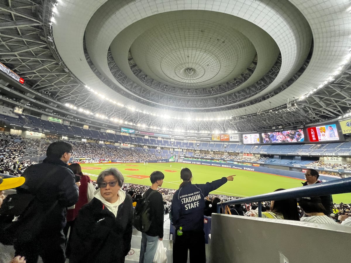 White Black Fox 03-03-2026